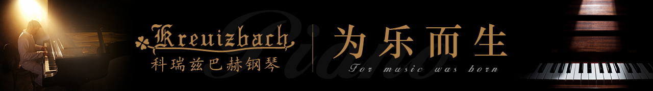 描述