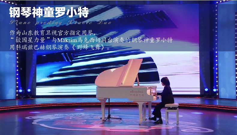 山东教育卫视官方指定用琴